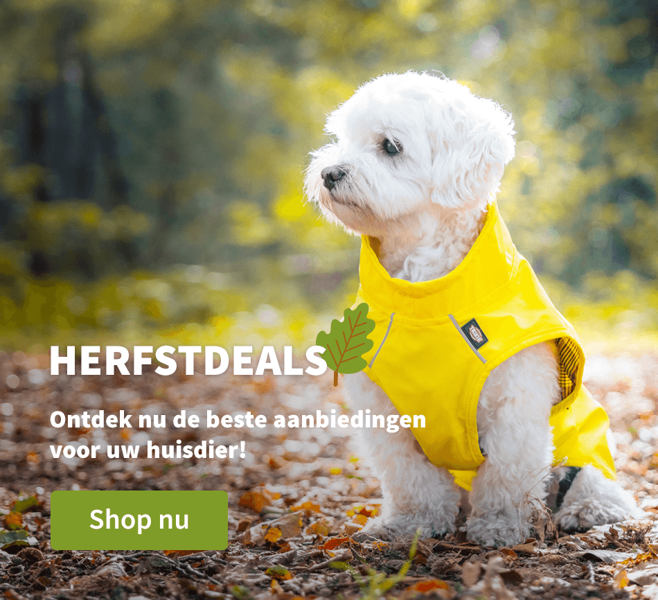 Herfstdeals