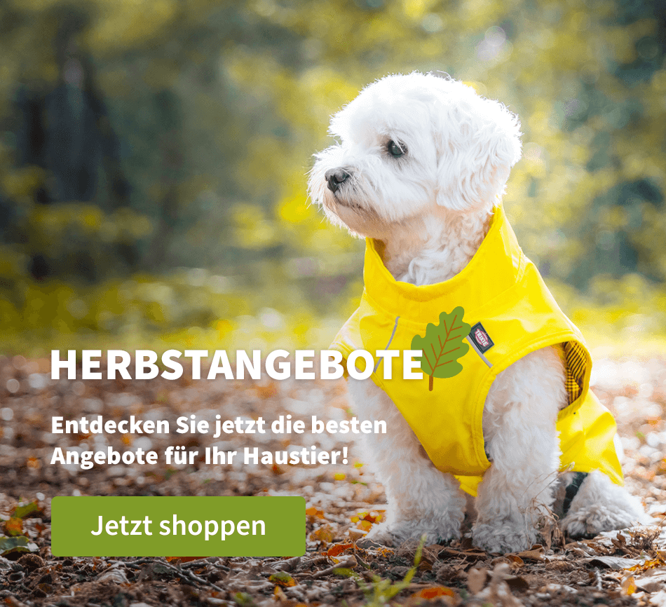 Herbstangebote