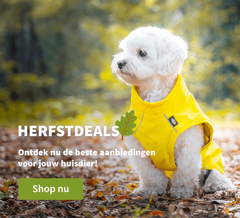 Herfstdeals 