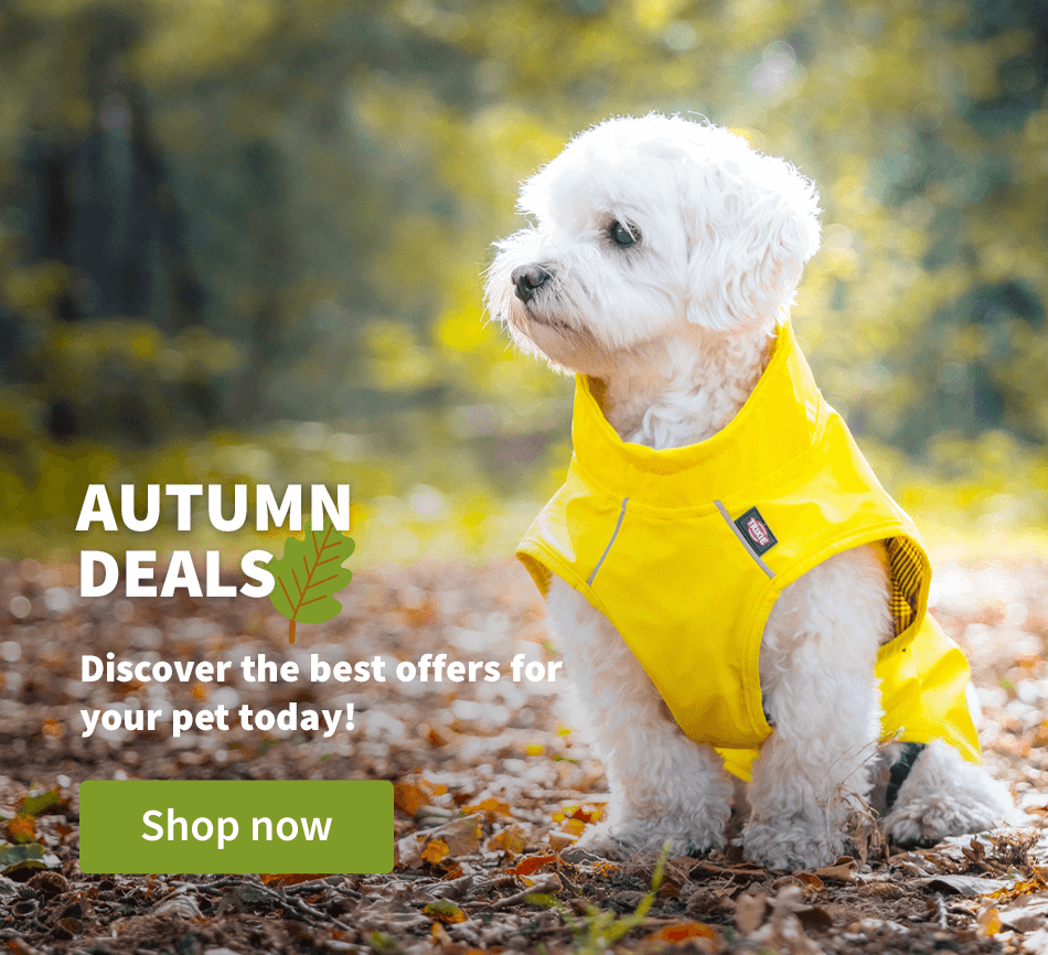 Autumn Deals