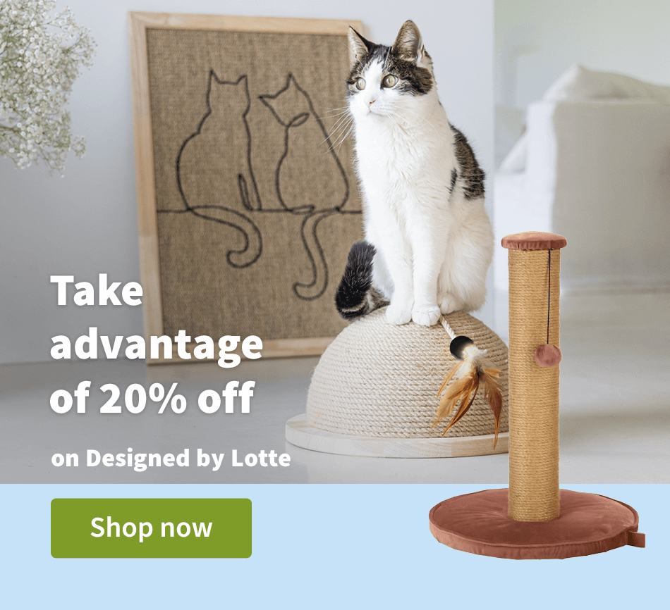 Take advantage of 20% off on Designed by Lotte
