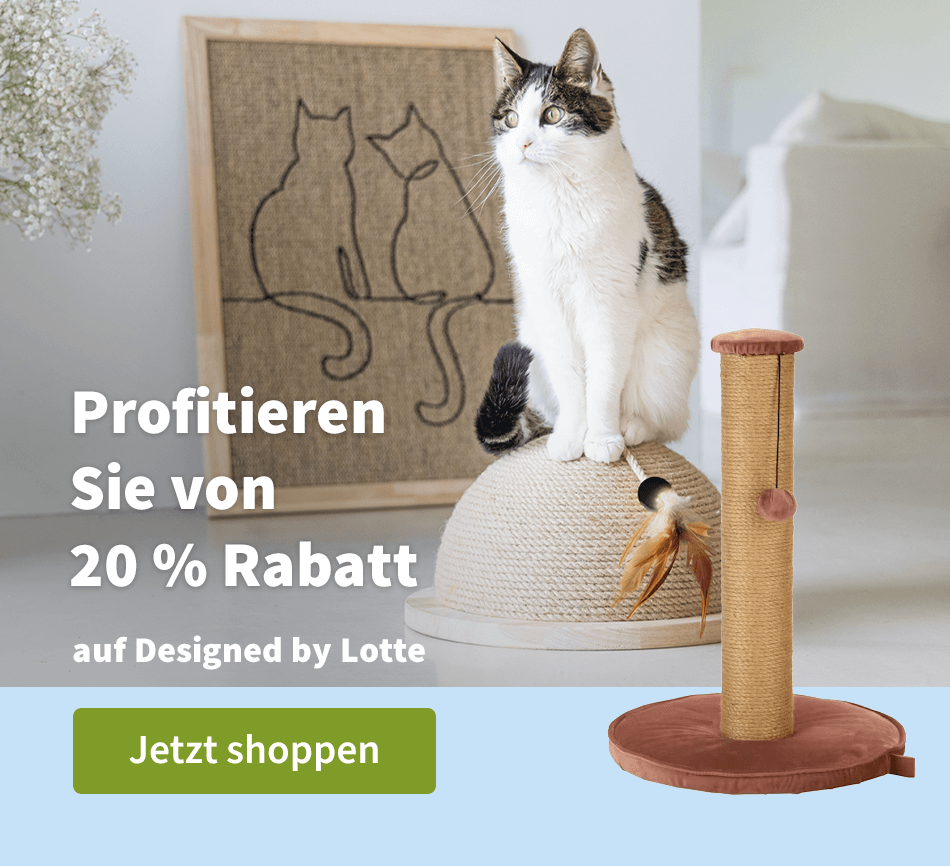Profitieren Sie von 20 % Rabatt auf Designed by Lotte