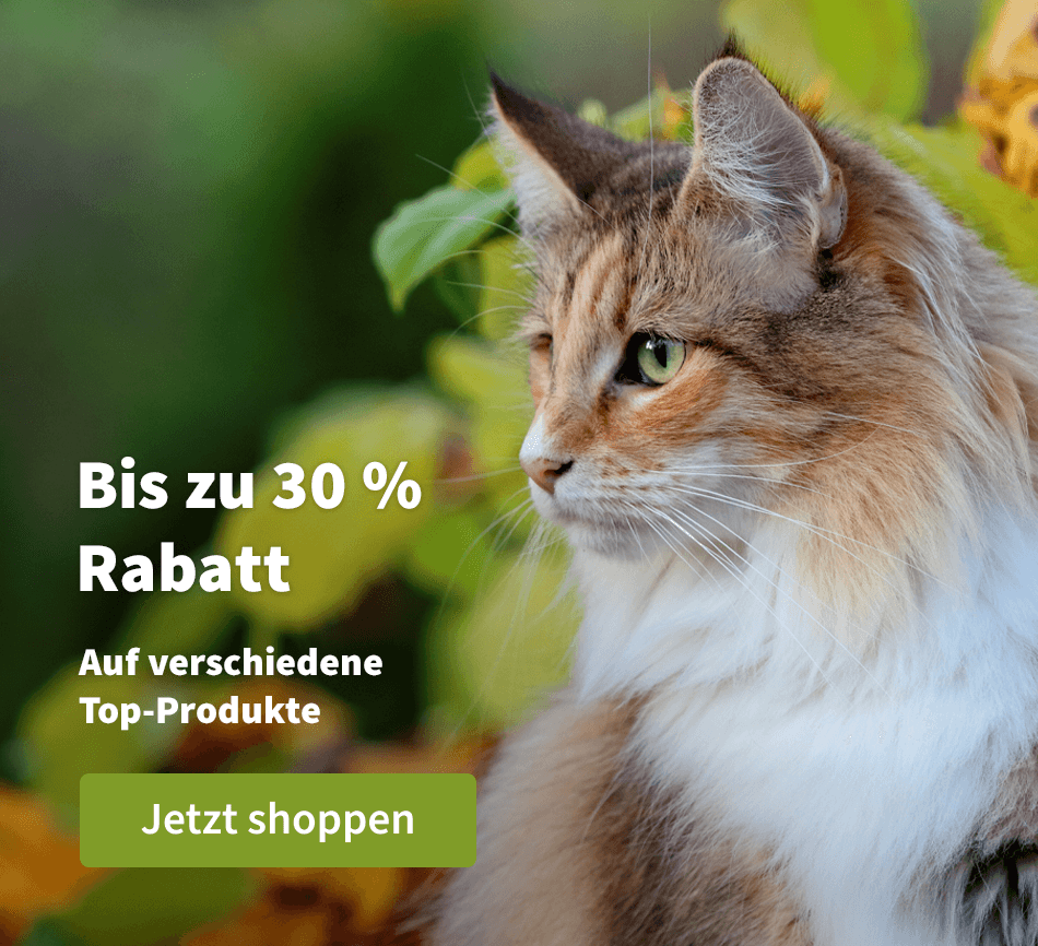 Bis zu 30 % Rabatt - Auf verschiedene Top-Produkte