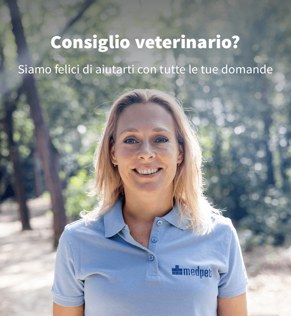 Veterinario