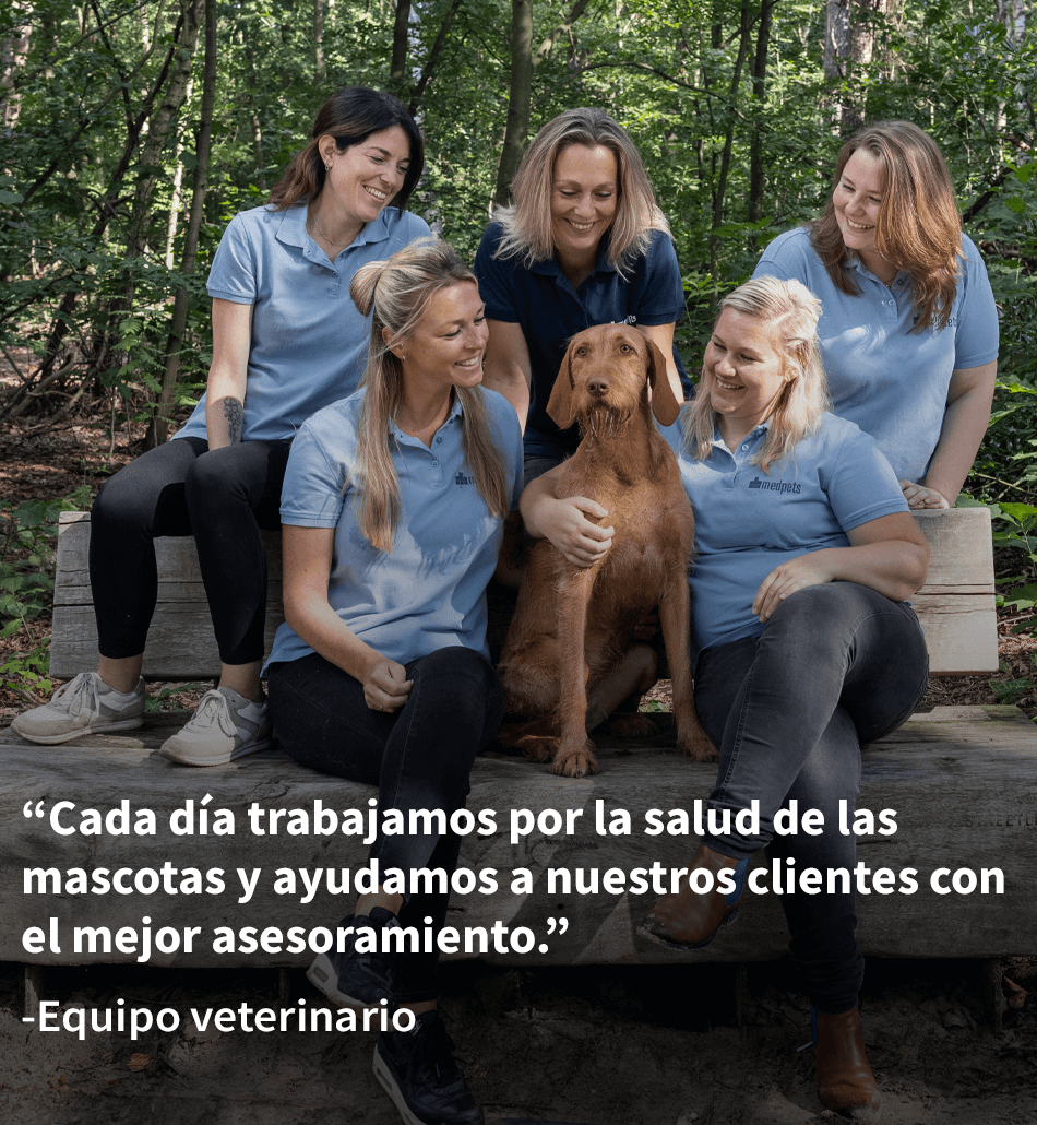 Veterinario