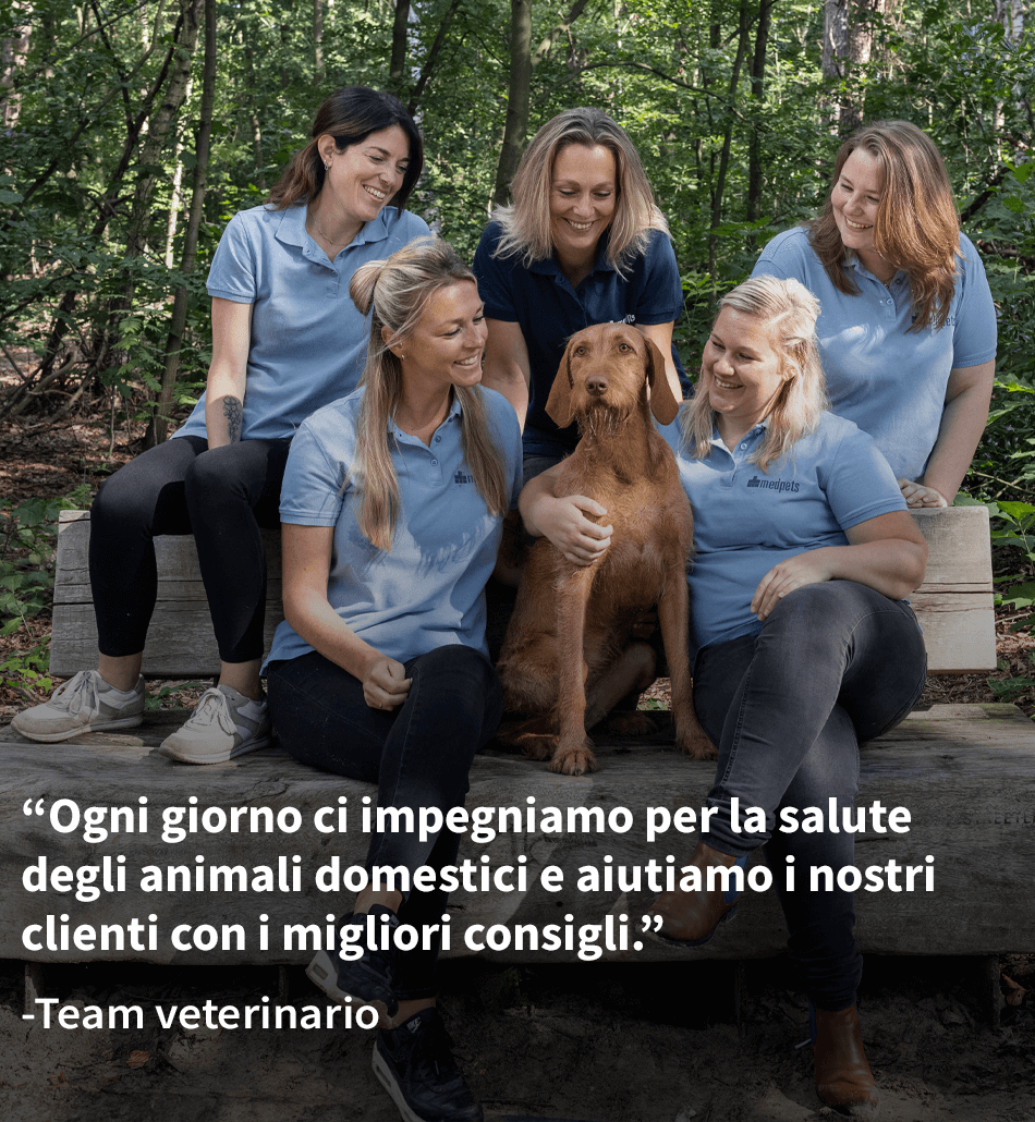 Veterinario