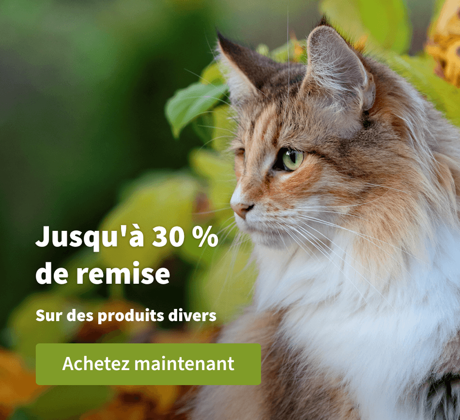 Jusqu'à 30 % de remise 