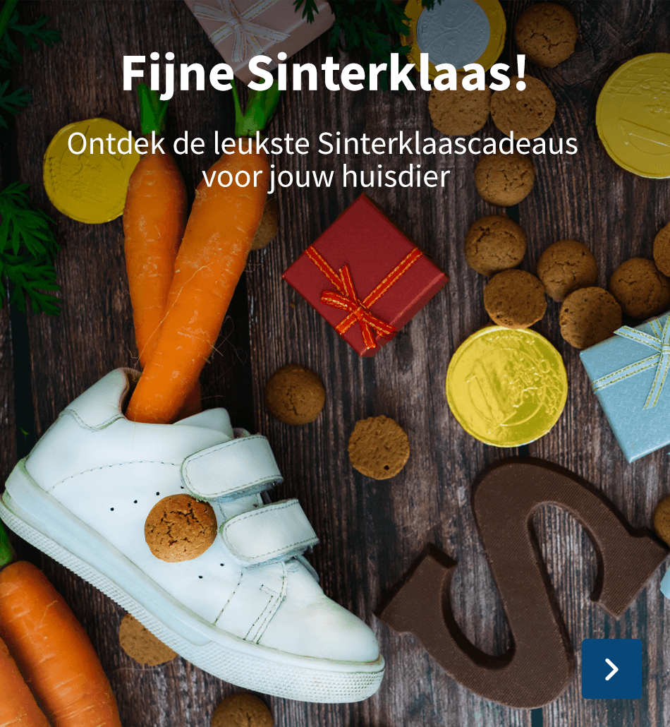 sinterklaas