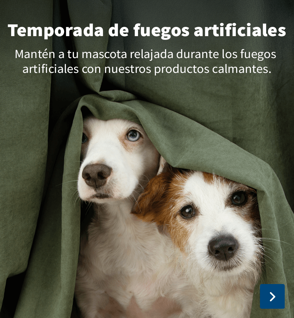 Miedo a los fuegos artificiales