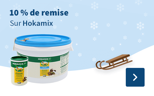10 % de remise, Sur Hokamix