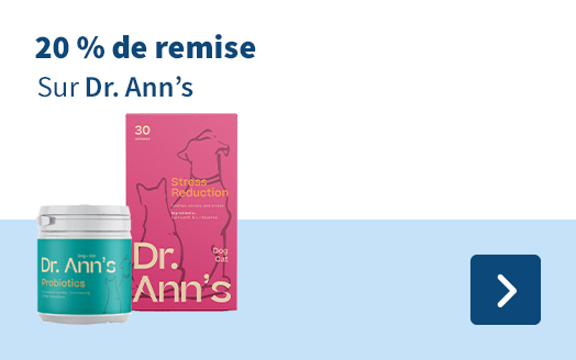 Dr. Ann's