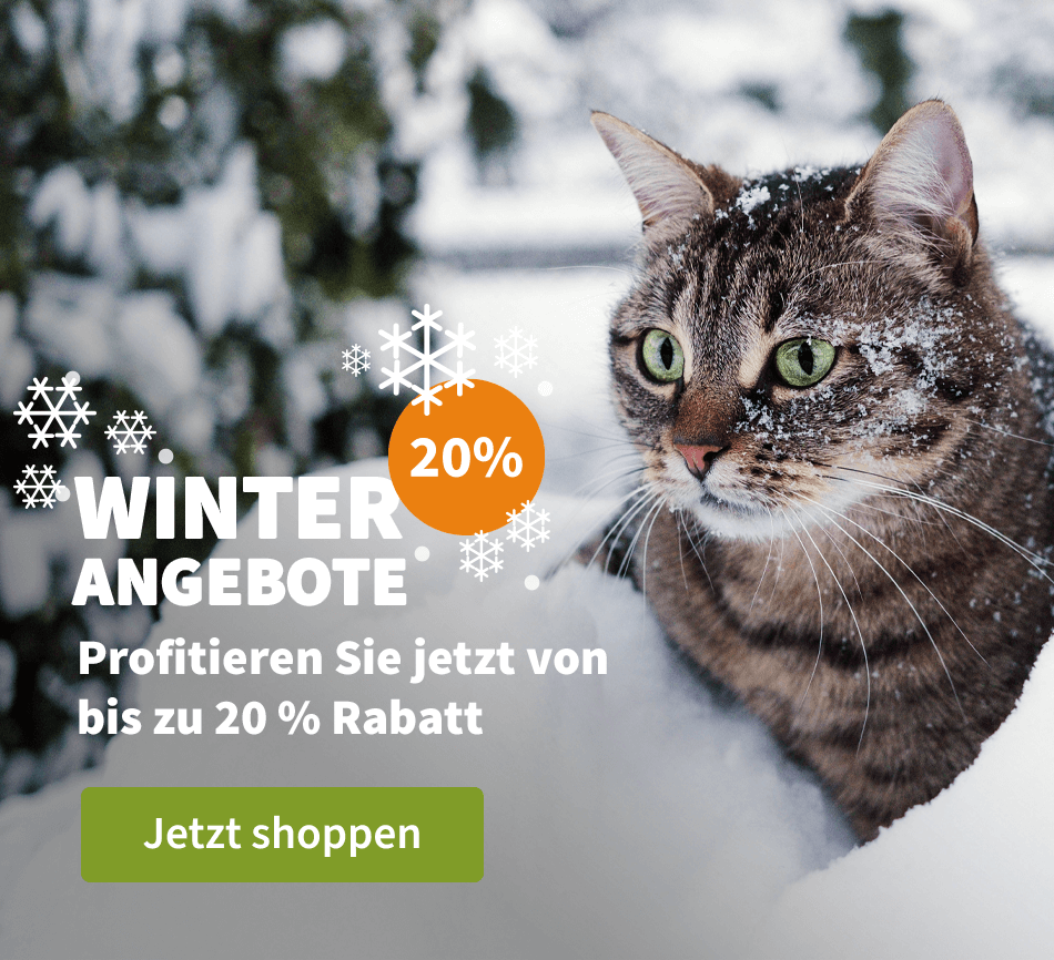 Winter Angebote