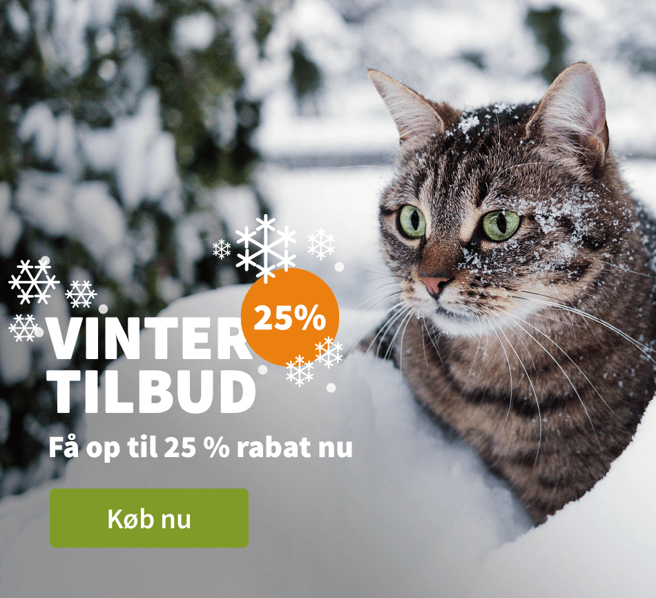 Vinter Tilbud
