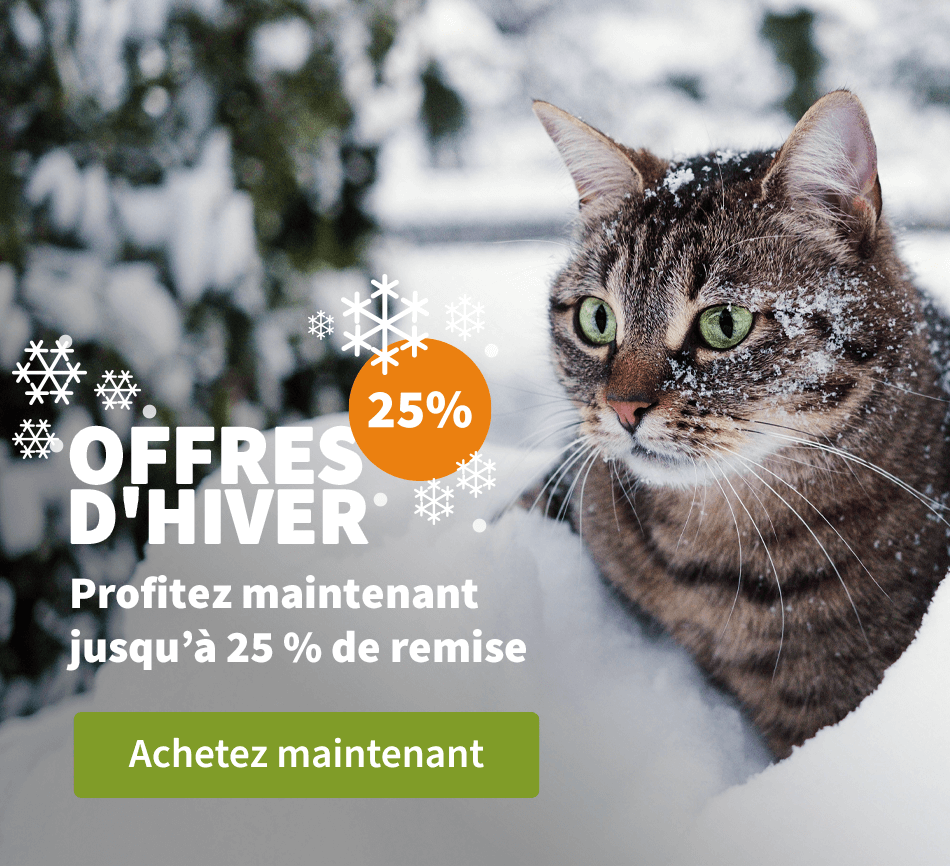 Offres D'Hiver