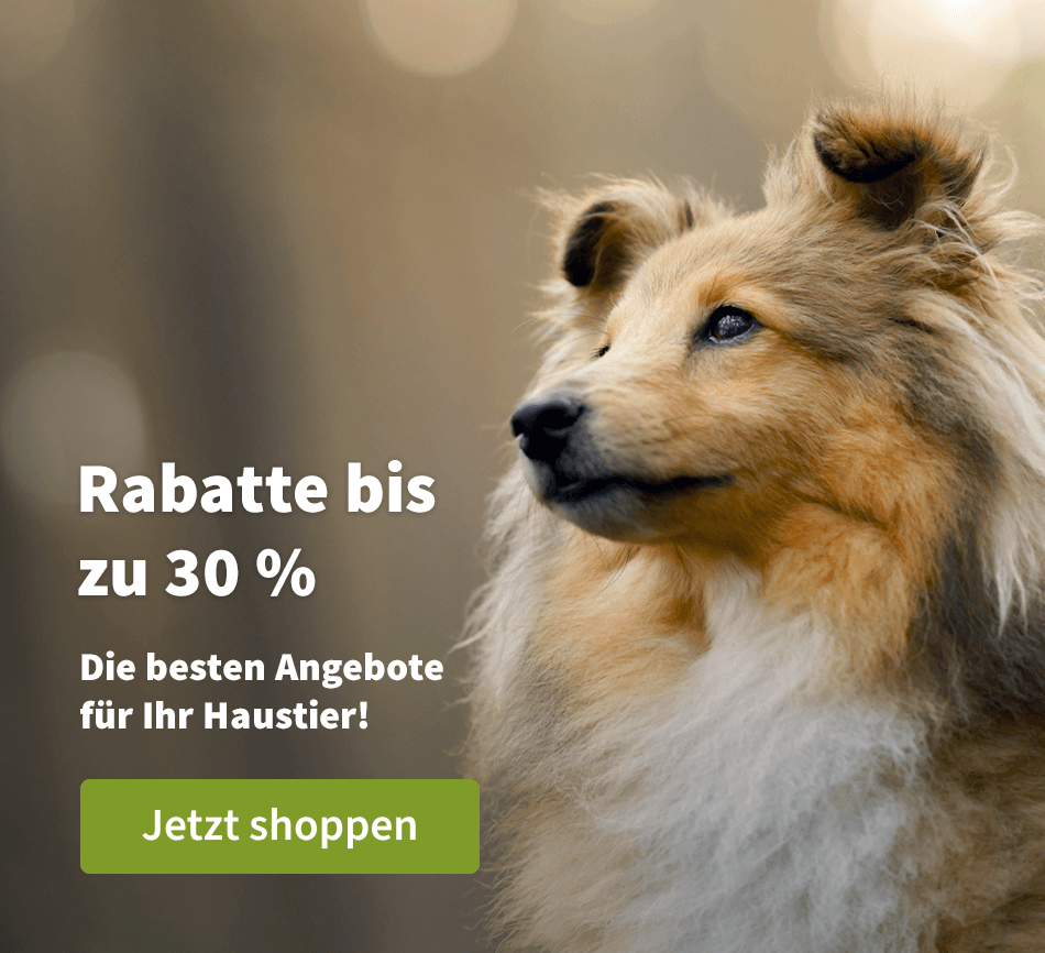 Rabbatte bis zu 30 % 