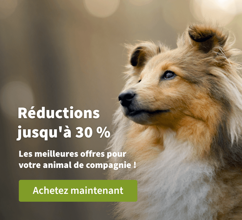 Jusqu'à 30 % de remise !