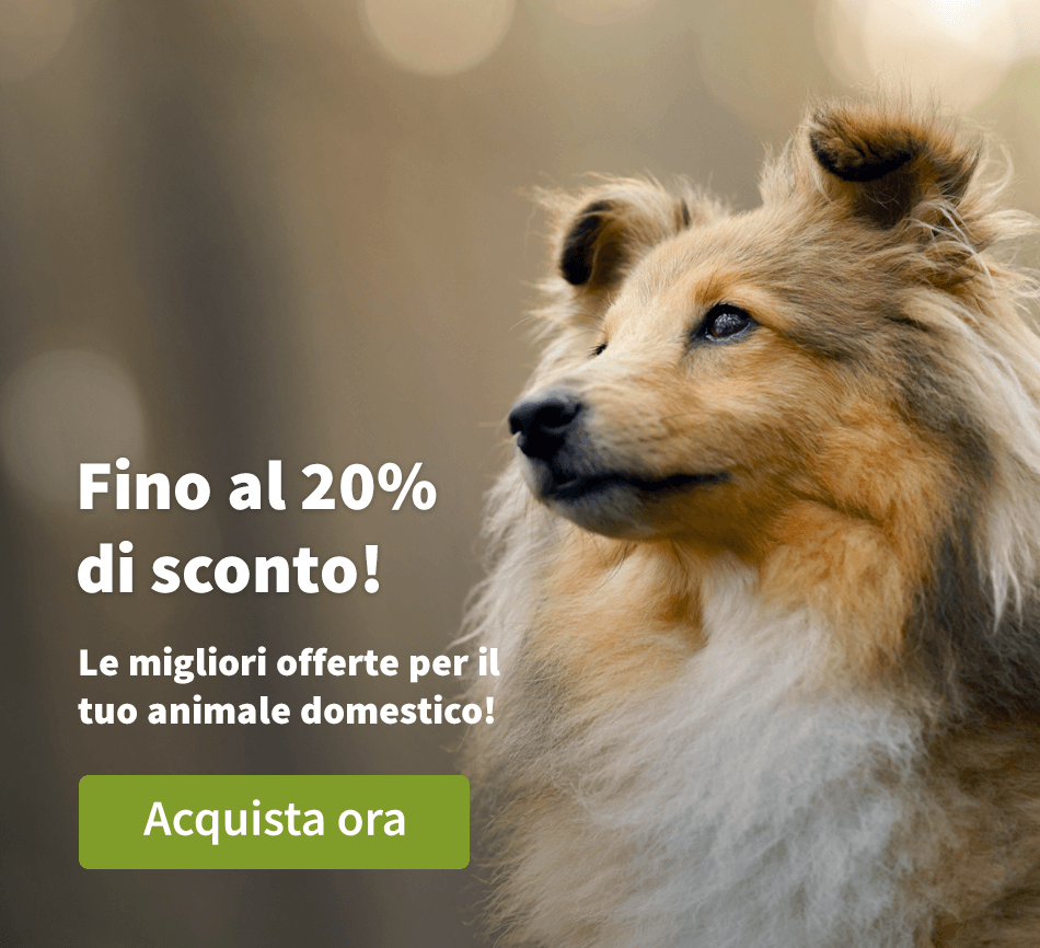 Las mejores ofertas para tu mascota!