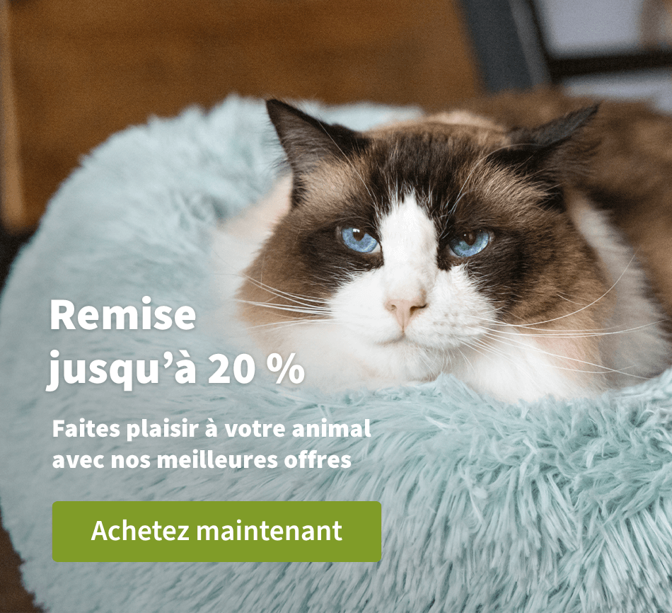Remise jusqu`à 20 %