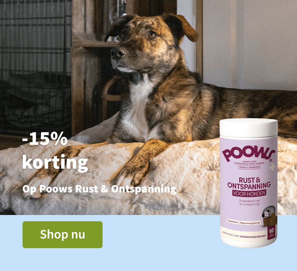 -15% korting op Poows