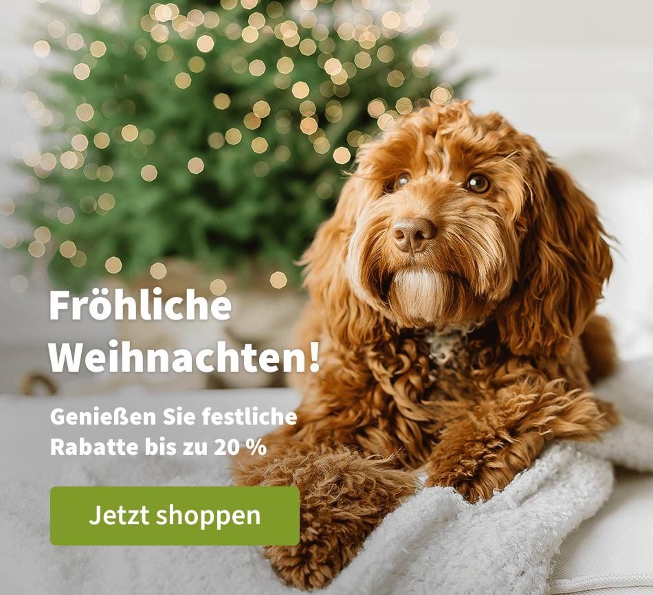 Fröhliche Weihnachten!