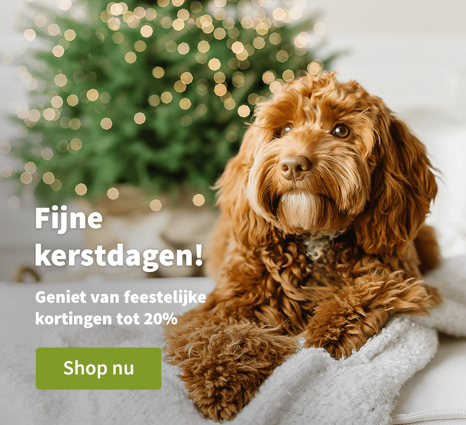 Fijne kerstdagen