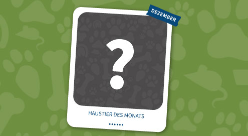 haustier des monats dezember