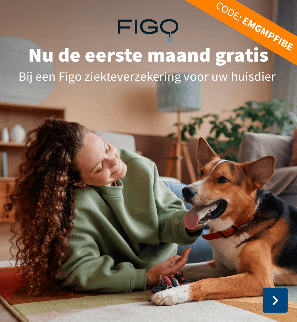 Figo