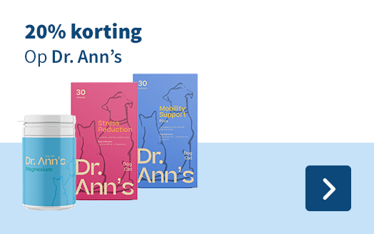 20% korting, Op Dr. Ann's