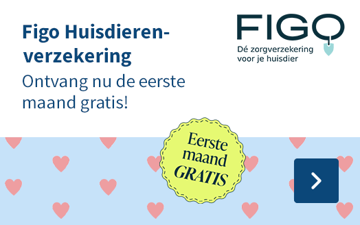 Figo Huisdierenverzekering, Ontvang nu de eerste maand gratis!