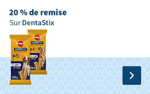 20 % de remsie, Sur DentaStix