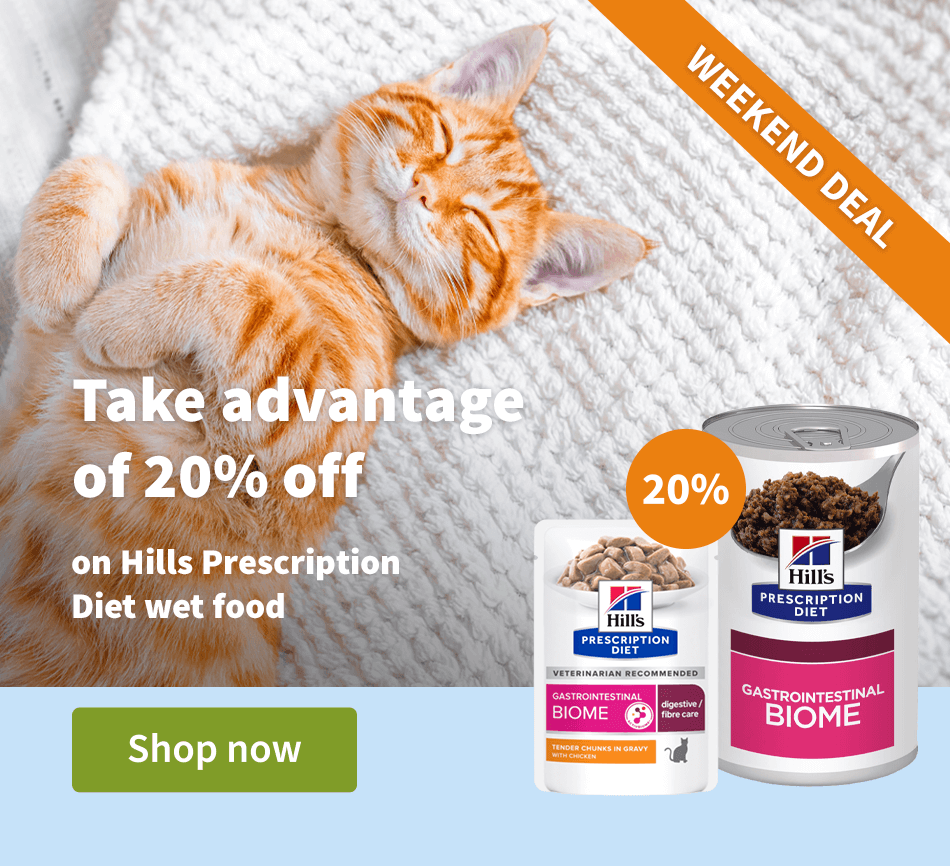 Take advantage of 20% off