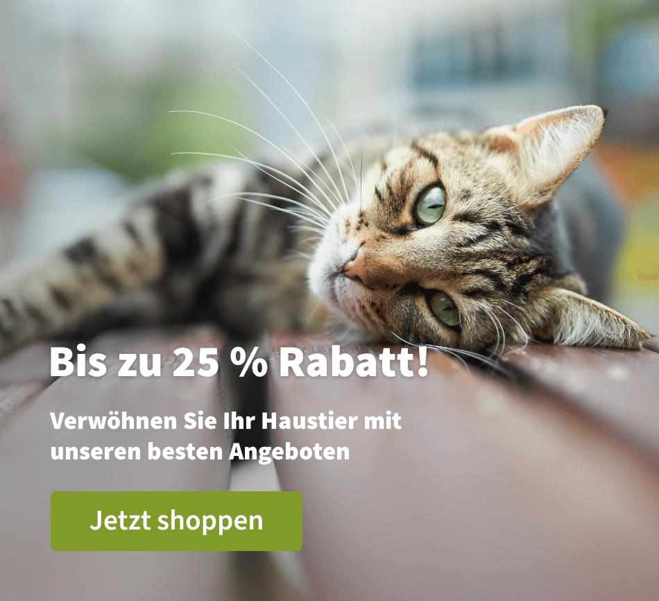 Bis zu 25 % Rabatt!