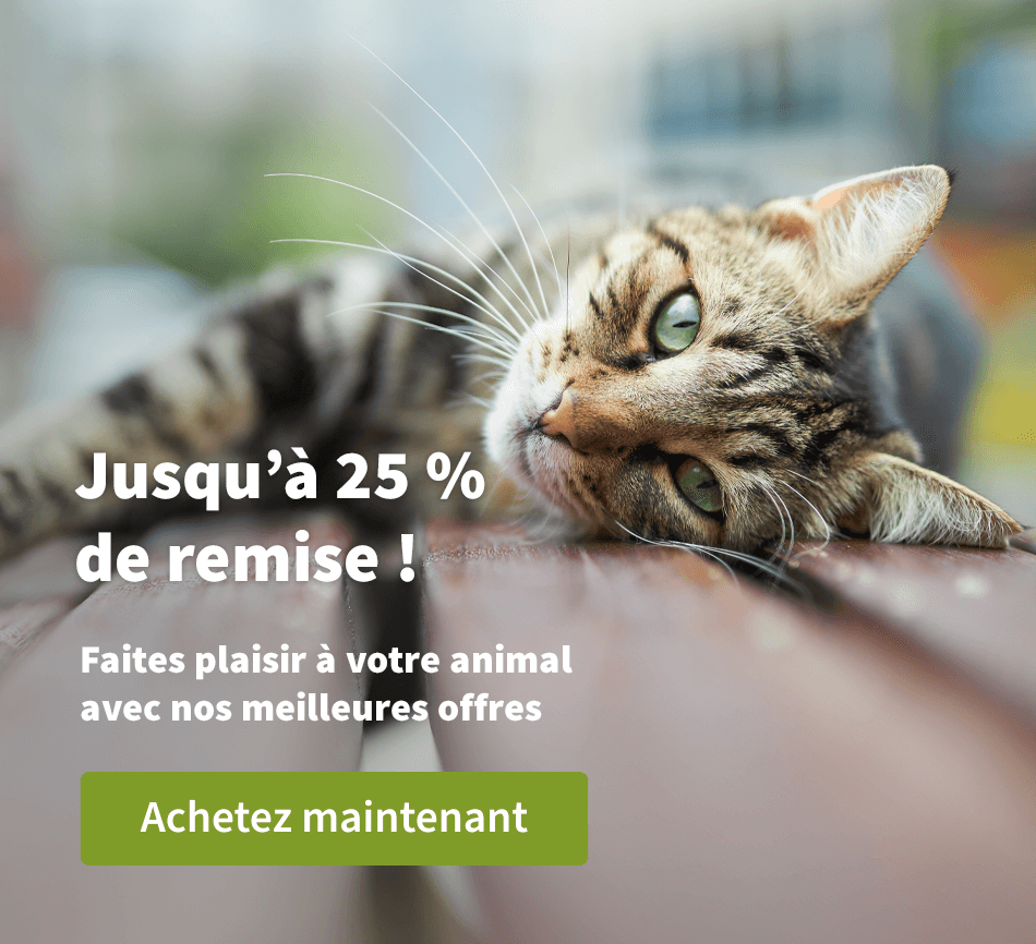 Jusqu'à 25 % de remise ! 