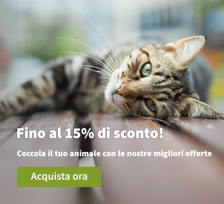 Fino al 15% di sconto!
