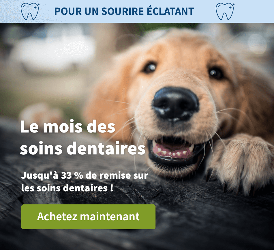 Le mois des soins dentaires