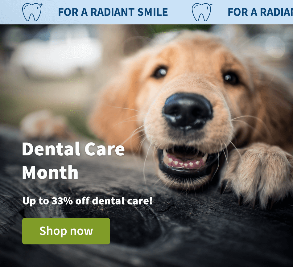 Dental Care Month
