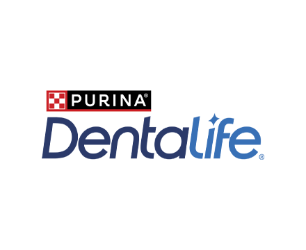 DentaLife