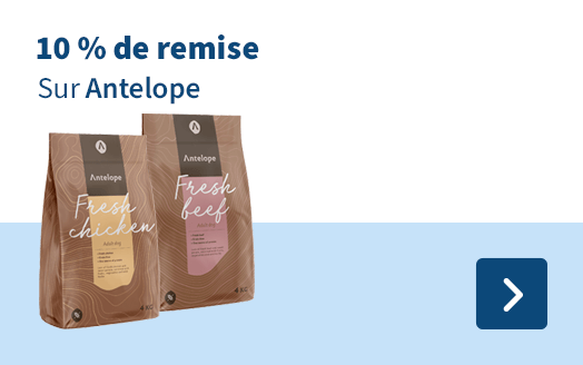 10 % de remise Sur Antelope