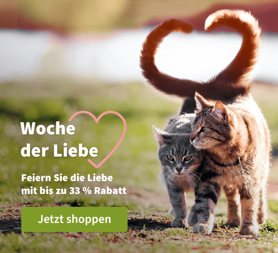 Woche der Liebe 