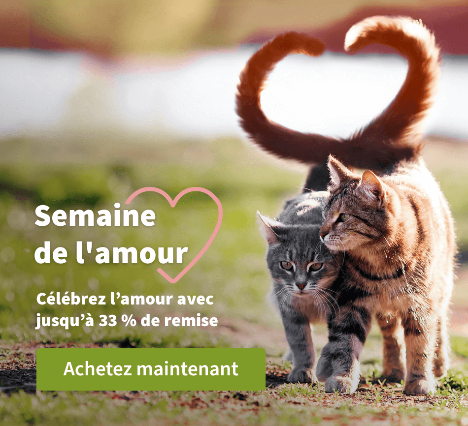 Semaine de l'amour