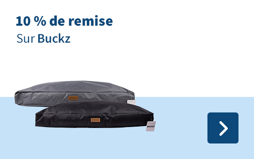 10 % de remise Sur Buckz