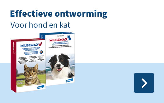Effectieve ontworming voor hond en kat