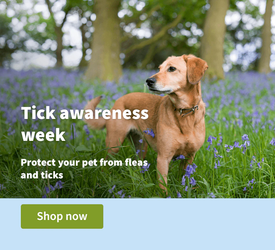Tick awareness week