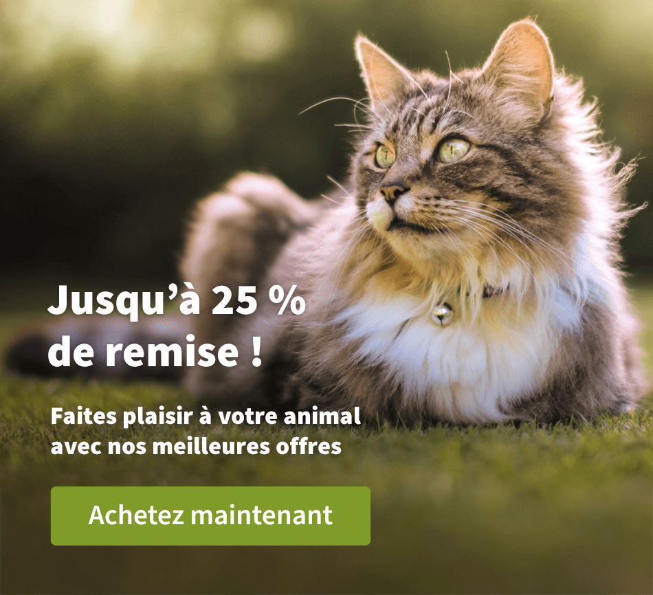 Jusqu'à 25 % de remise !