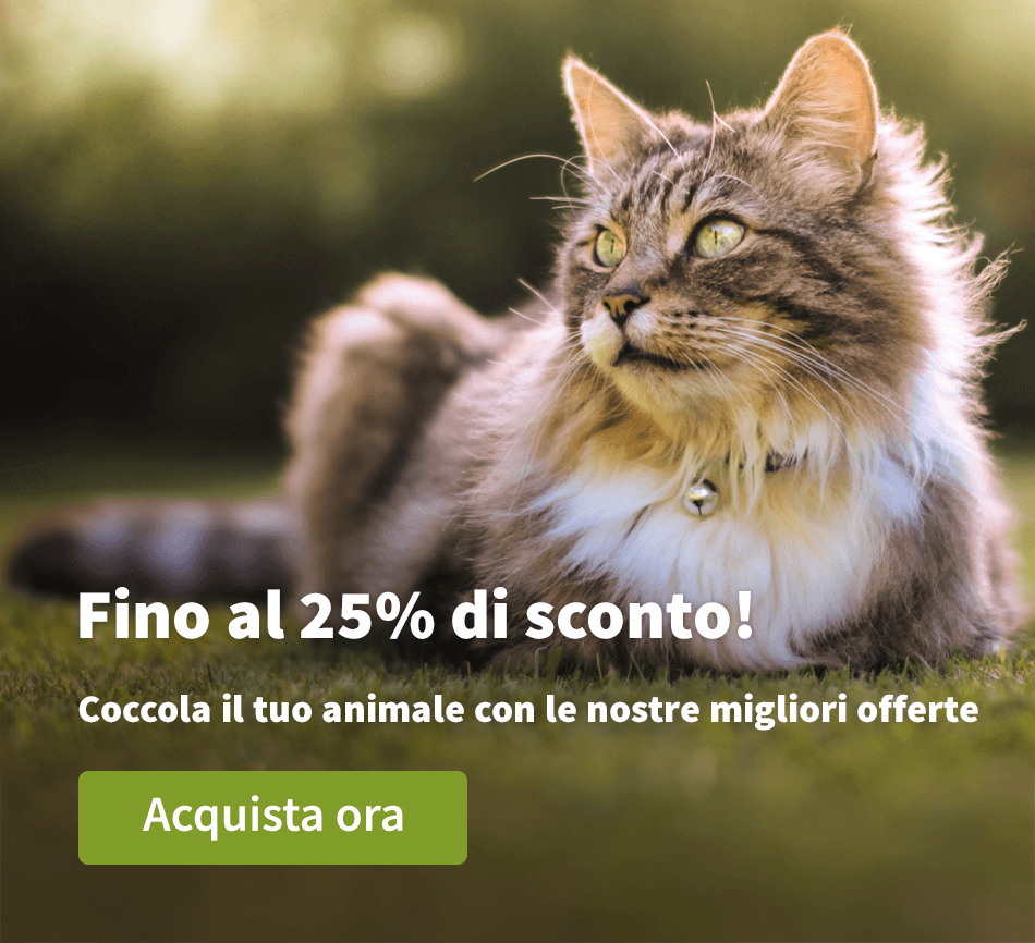 Fino al 25% di sconto!