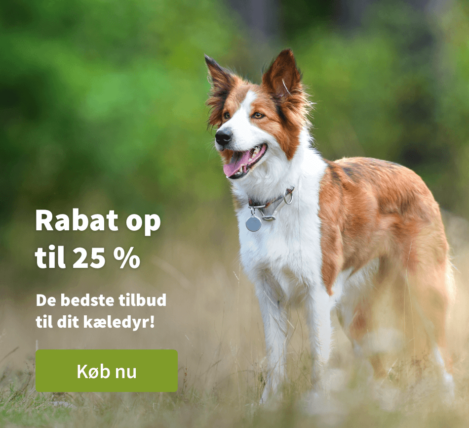 Rabat op til 25 %