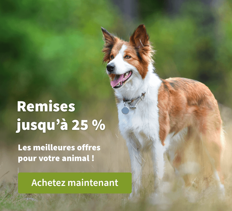 Remises jusqu'à 25 %