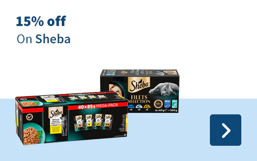 15% off On Sheba