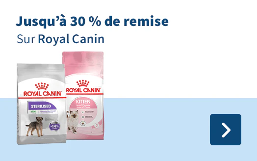Jusqu'à 30 % de remise Sur Royal Canin