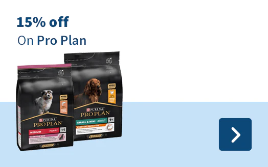 15% off On Pro Plan